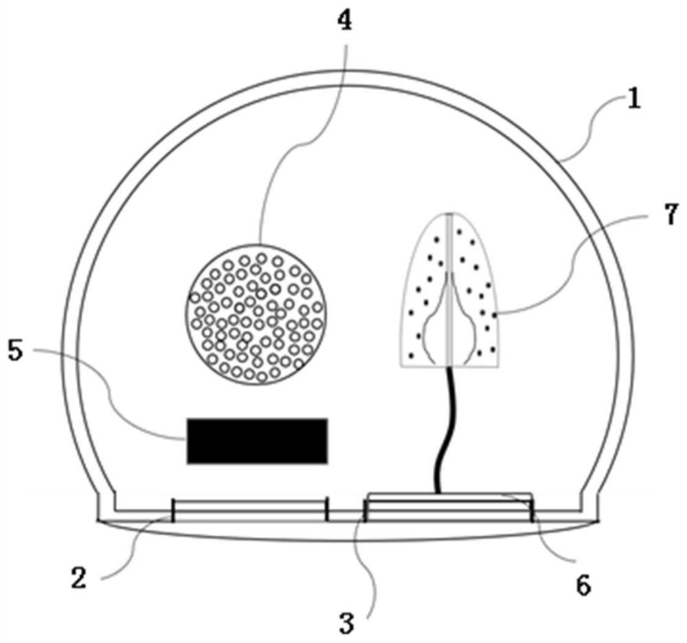 Novel opto-acoustic-ultrasonic bimodal transrectal endoscopic imaging probe for clinical use