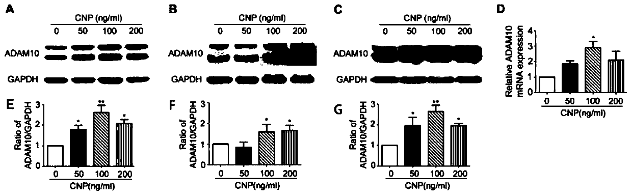 Application of vinblastine III in preparing medicine for preventing or treating Alzheimer's disease