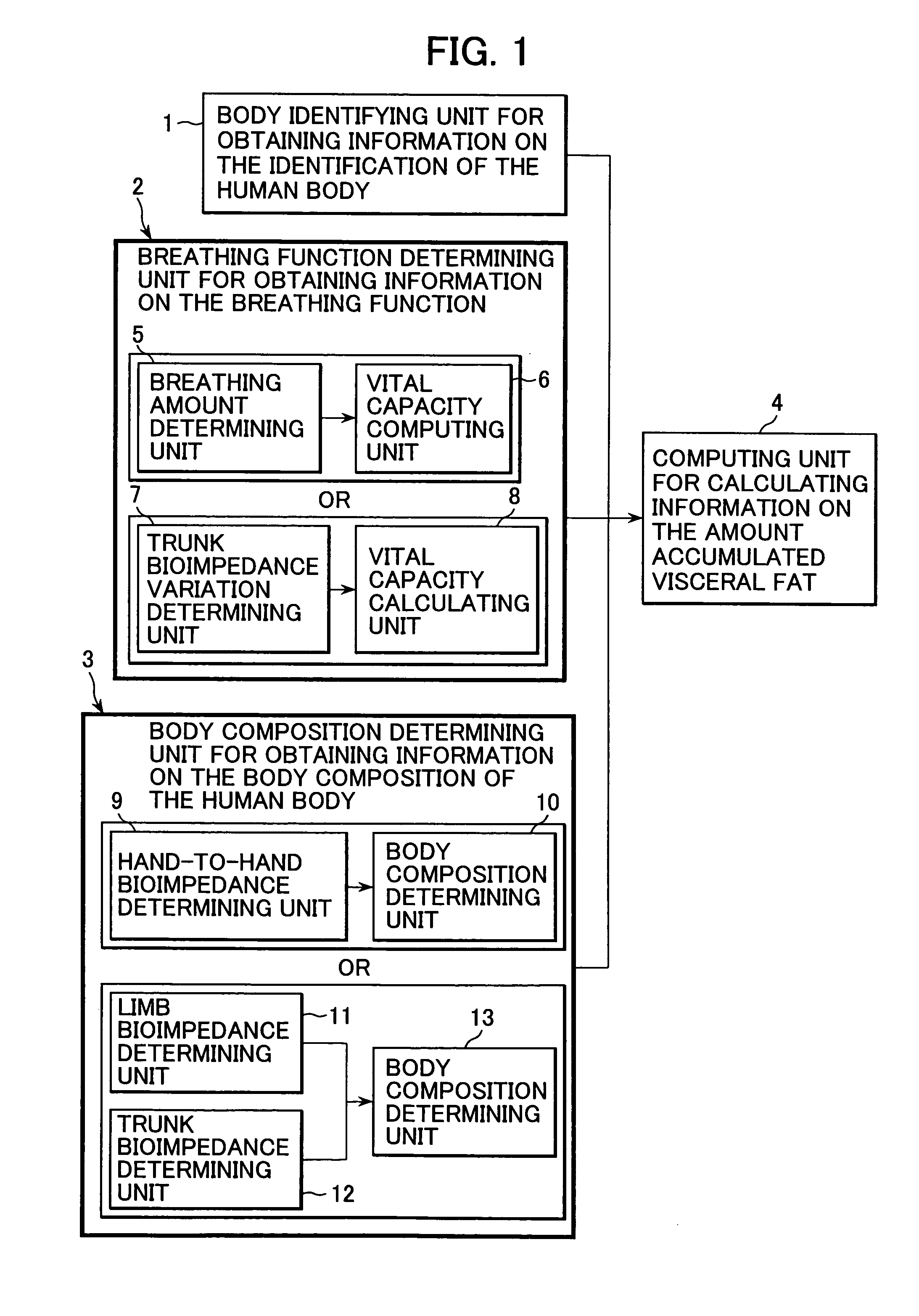 Apparatus for assuming information on the amount accumulated visceral fat of a human body