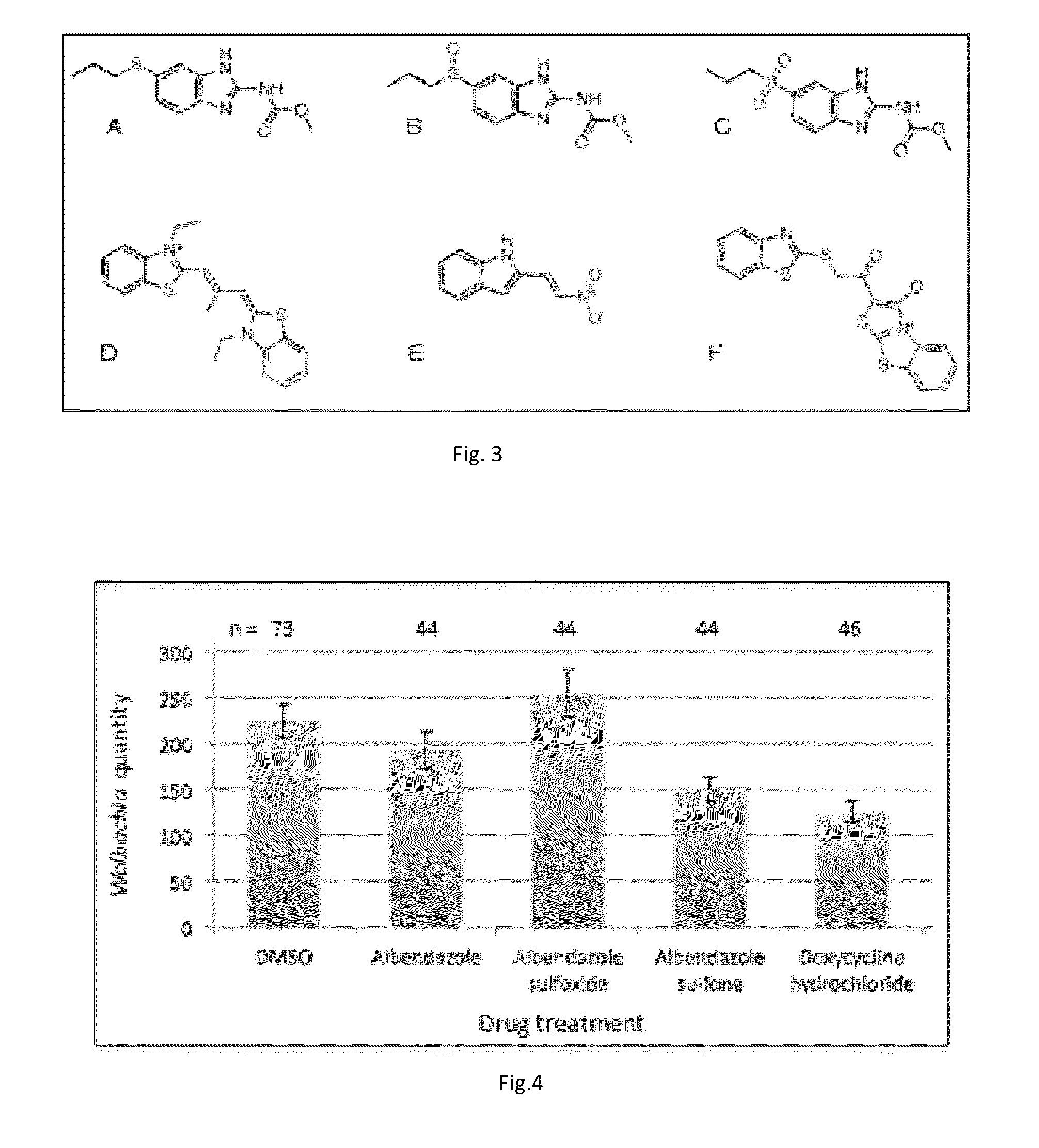 Compositions and Methods employing Wolbachia FtsZ as a target for Albendazole sulfone