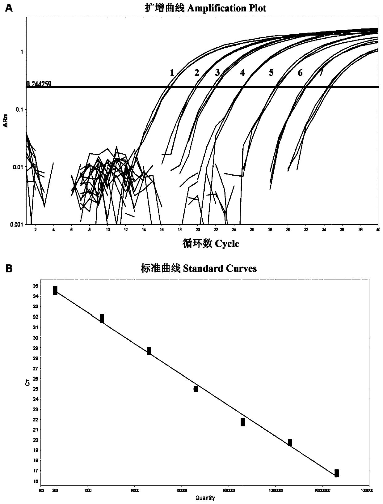 TaqMan probe-based Senecavirus A fluorescent quantitative RT-PCR (reverse transcription-polymerase chain reaction) detecting method and kit