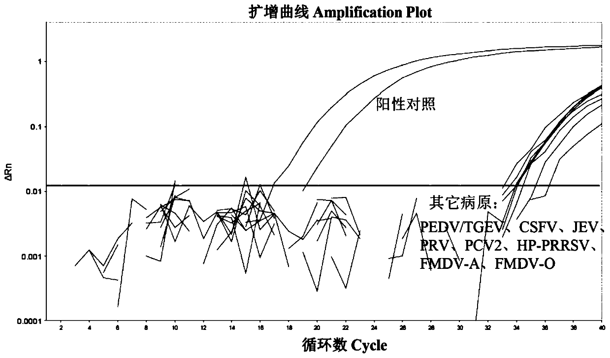 TaqMan probe-based Senecavirus A fluorescent quantitative RT-PCR (reverse transcription-polymerase chain reaction) detecting method and kit