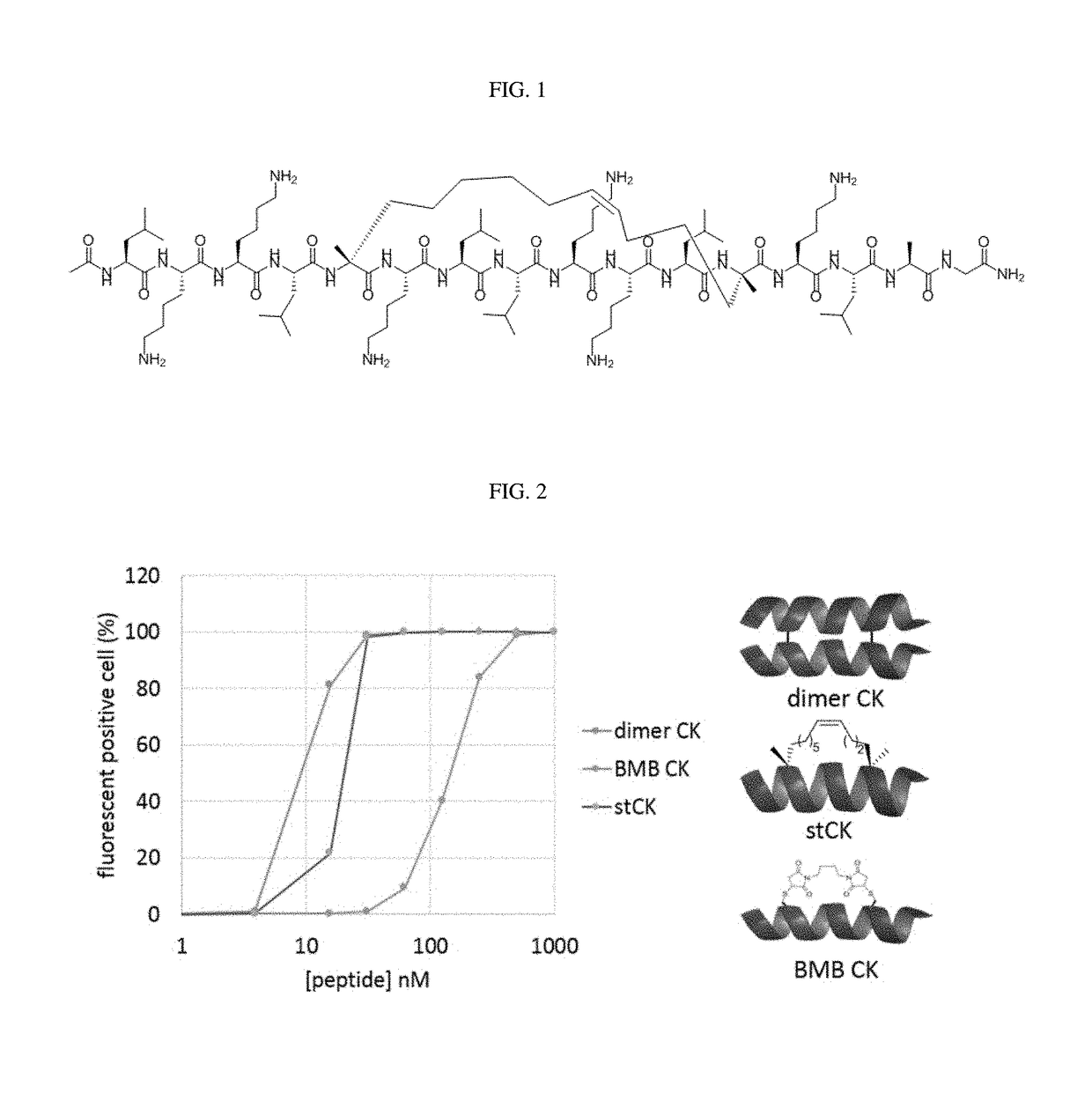 Cell penetrating stapled peptide, manufacturing method therefor, and use thereof