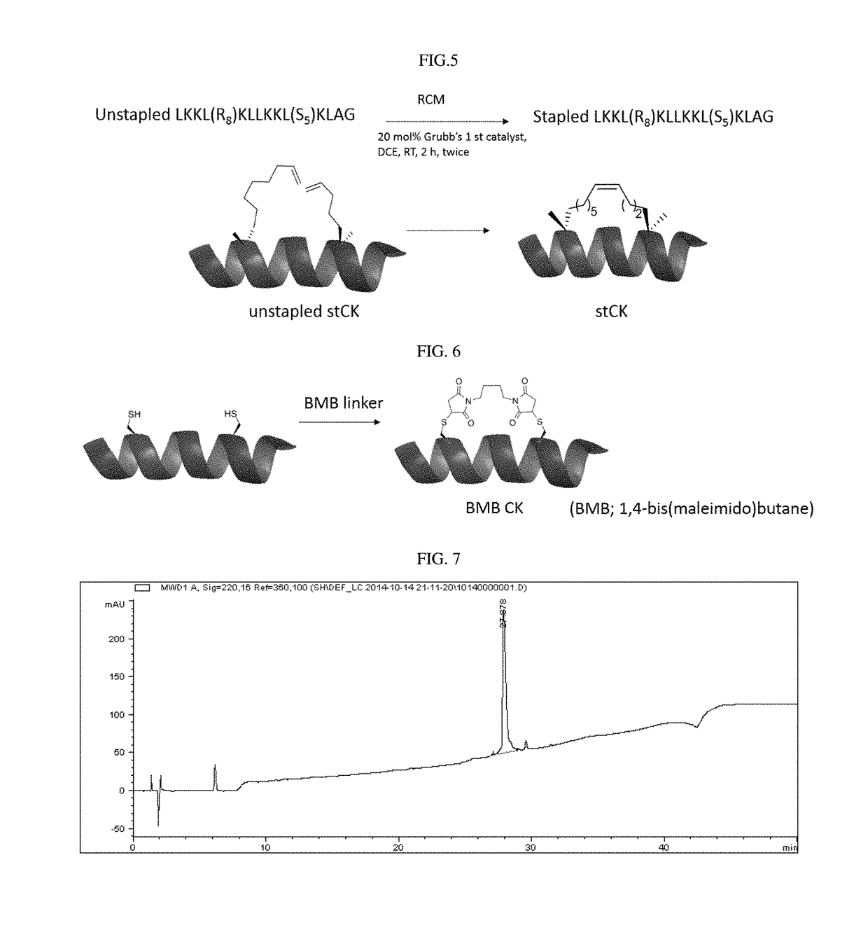 Cell penetrating stapled peptide, manufacturing method therefor, and use thereof