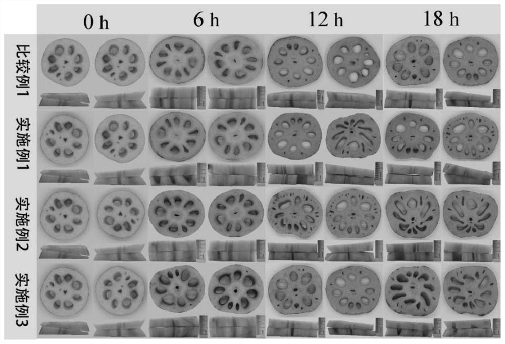 Method for pretreating pickled lotus root slices based on high-voltage pulsed electric field treatment device