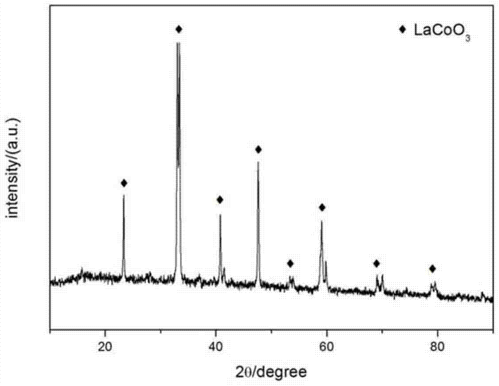 Method for synthesizing perovskite LaCoO3 composite oxide material from bagasse