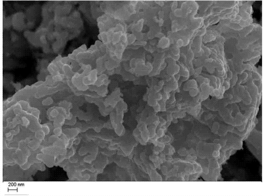 Method for synthesizing perovskite LaCoO3 composite oxide material from bagasse