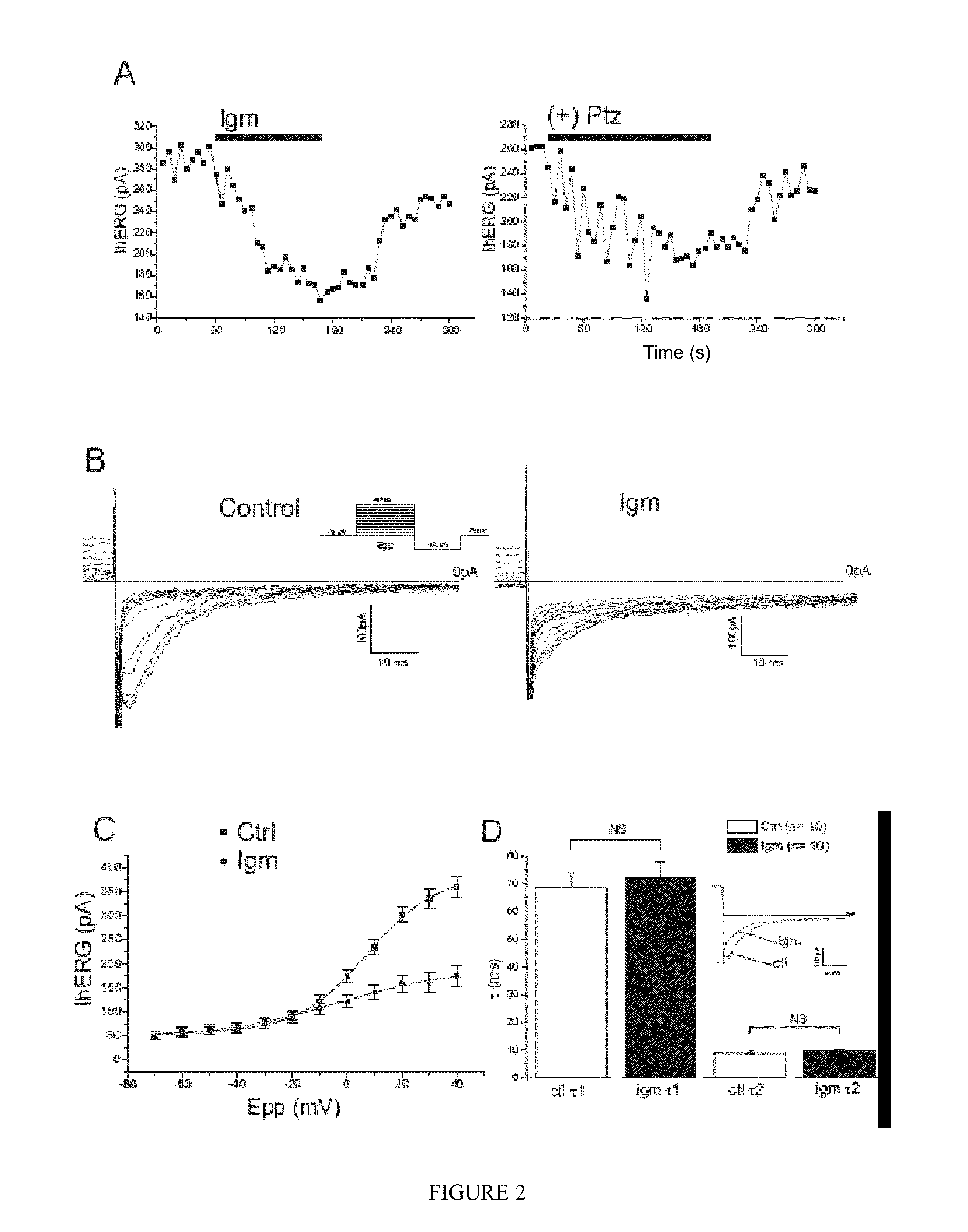 INHIBITORS OF THE INTERACTION OF THE SIGMA-1 RECEPTOR WITH hERG FOR USE IN THE TREATMENT OF CANCER