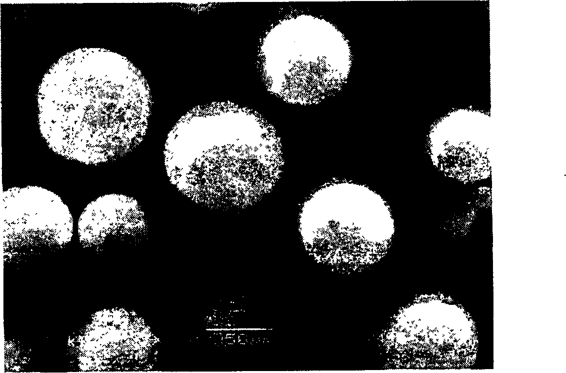 Aluminium/yttrium zirconium tertiary composite oxide nano structure aggregate powder and its producing method