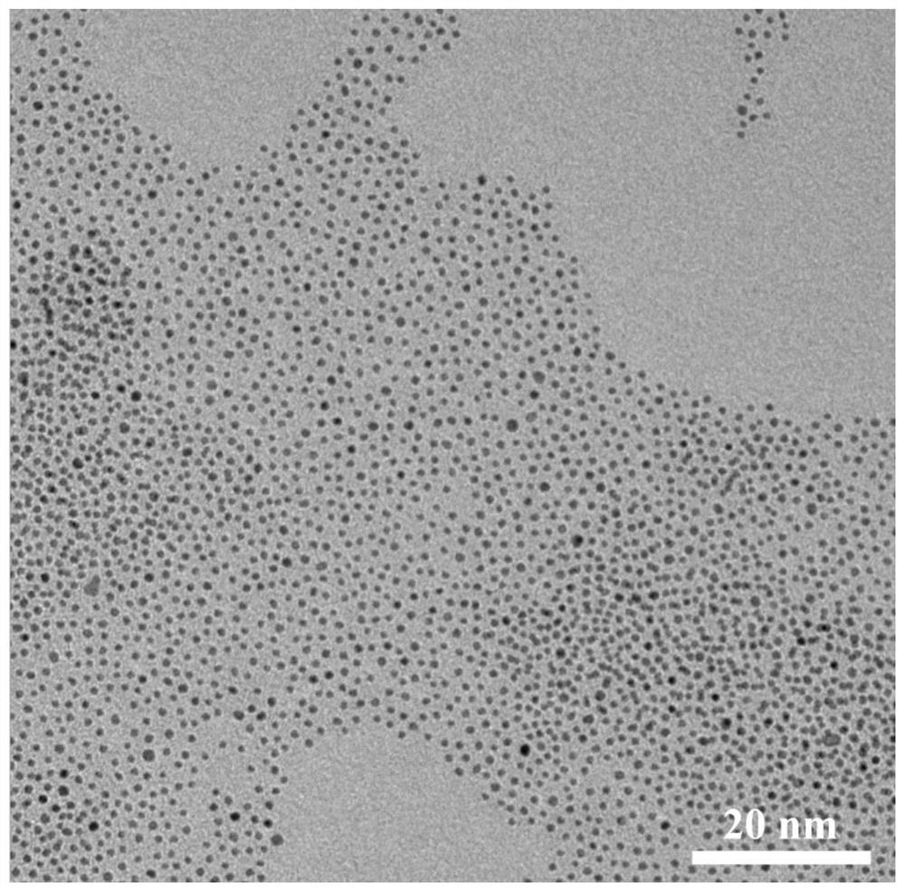 Preparation method, product and application of antiferromagnetic nanoparticle biological imaging probe