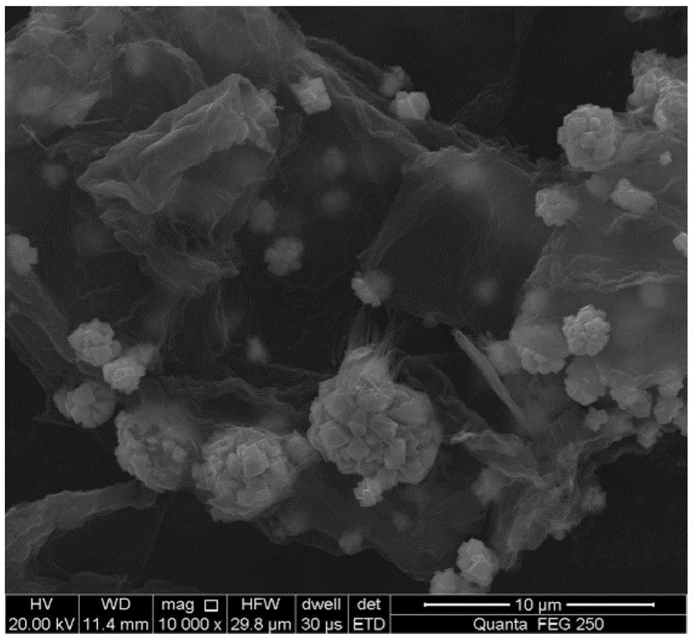 Iron diselenide/sulfur-doped graphene anode composite material for sodium-ion battery and preparation method of iron diselenide/sulfur-doped graphene anode composite material