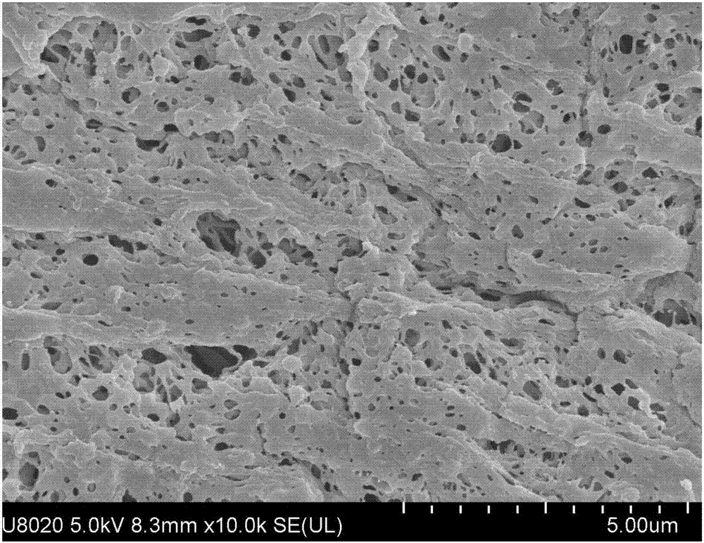 Carbon-coated metal nanoparticle-loaded PVDF (Polyvinylidene Fluoride) membrane as well as preparation method and application thereof