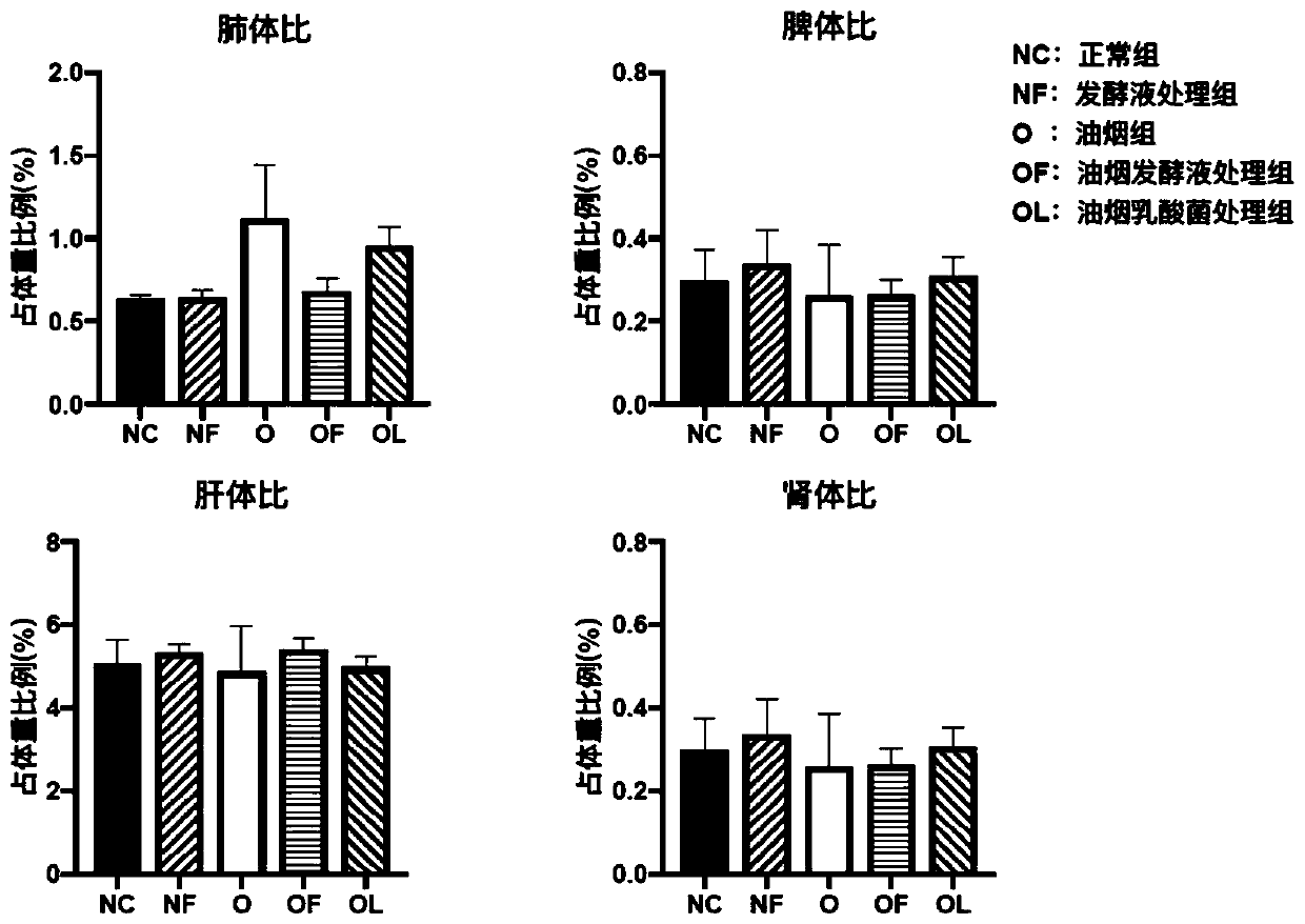 Application of black barley leaven in relieving lung injury and intestinal flora disorder