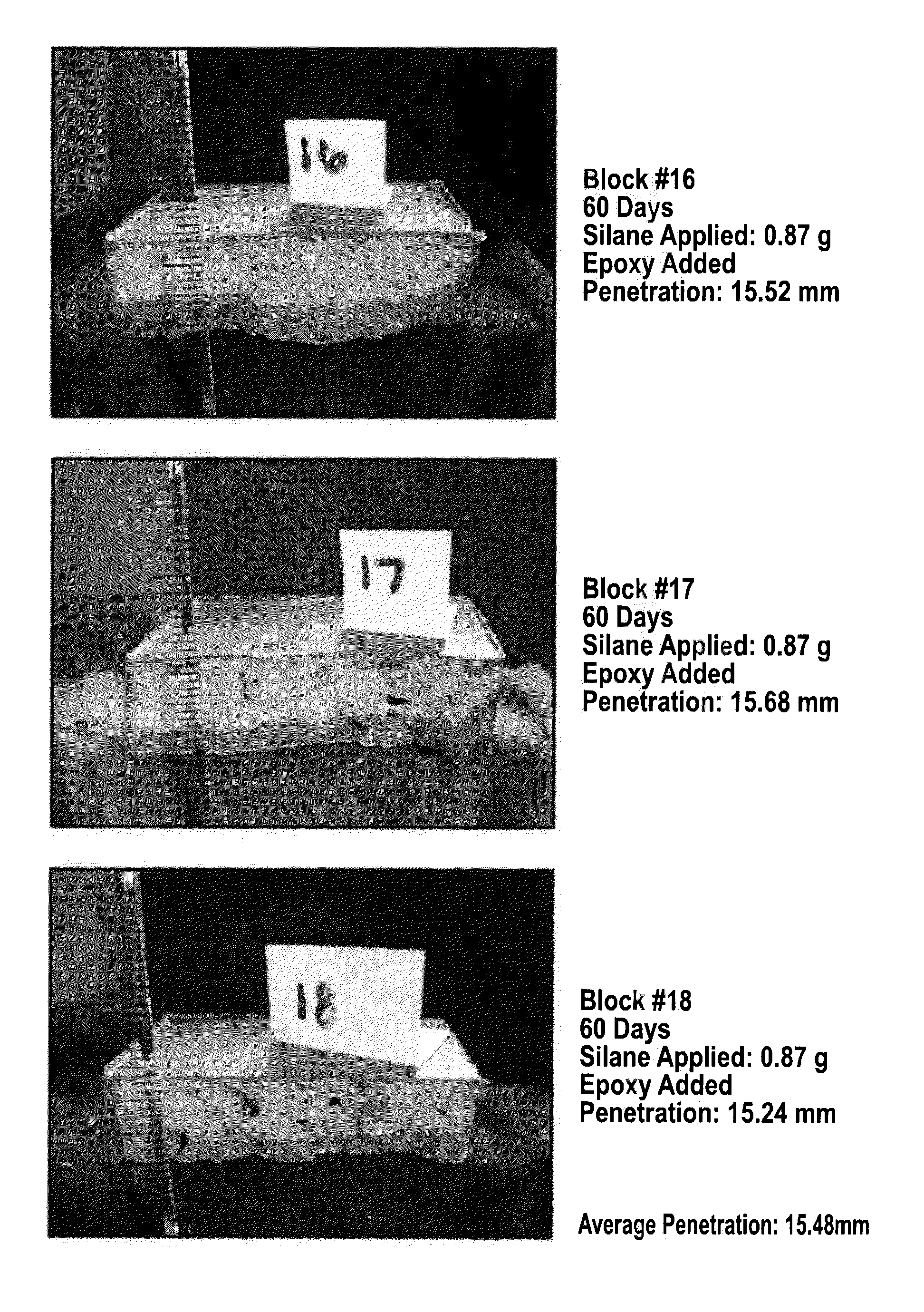 System And Method For Extending The Service Life Of Concrete Structures