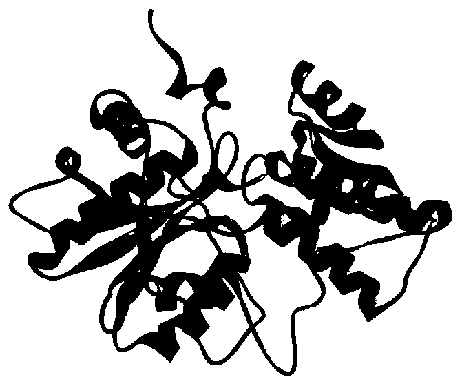 Application of gallic acid in reversing drug resistance of streptococcus suis to antibiotics