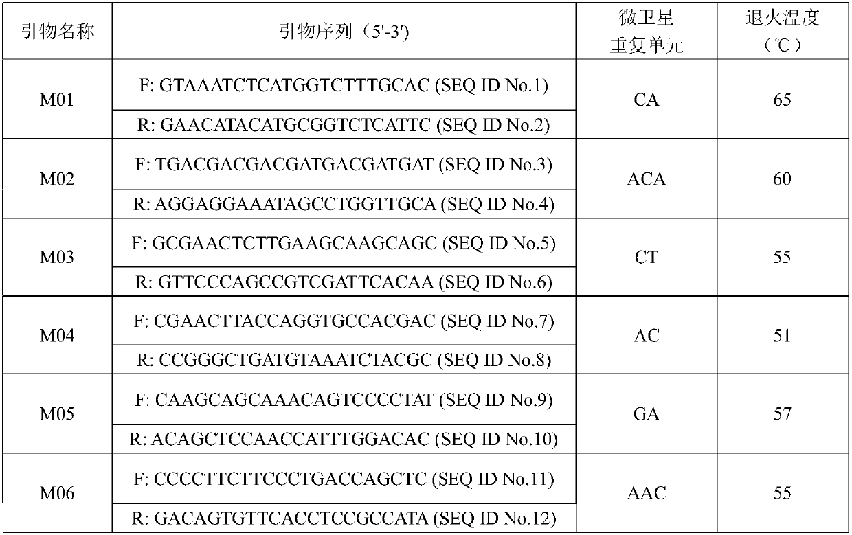 Avena L. DNA (deoxyribonucleic acid) molecular fingerprint spectrum construction method and application