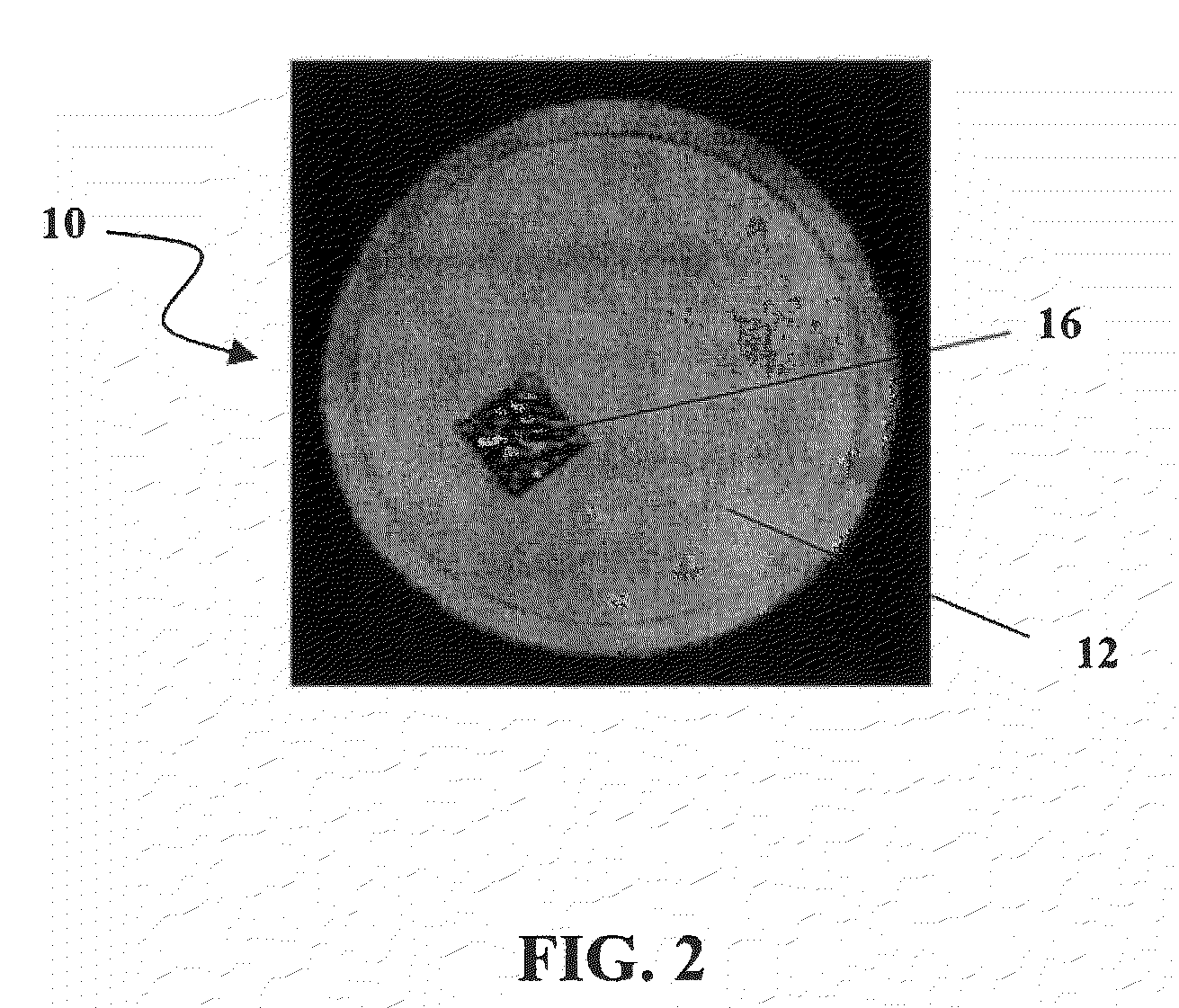 Particulate filter and method of use