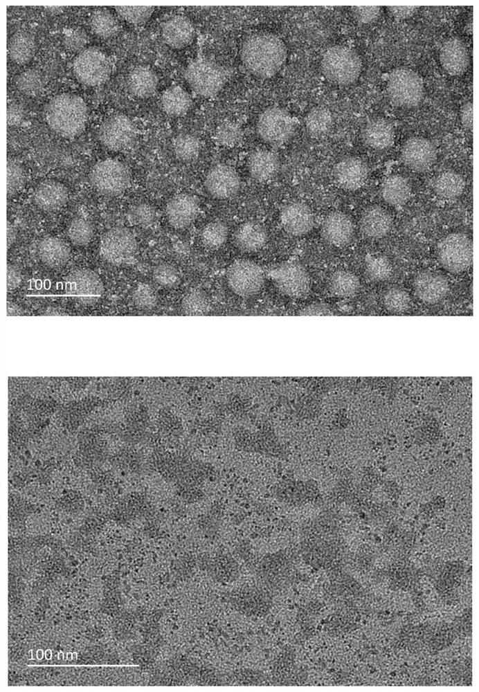 A temperature-sensitive nano drug preparation for in-depth delivery of tumor drugs and its preparation method and application