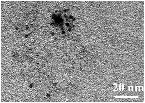 Stable fluorescent particle and preparation method thereof