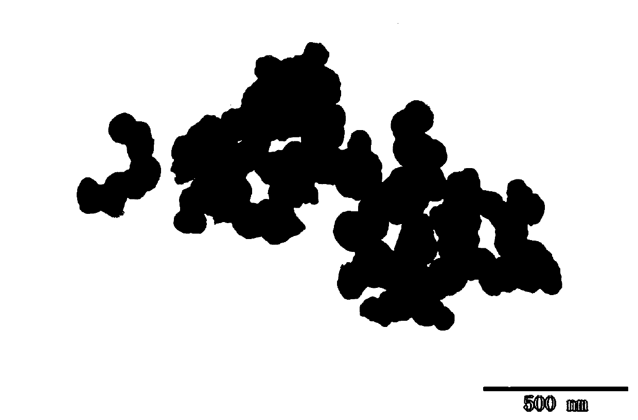 Stable fluorescent particle and preparation method thereof