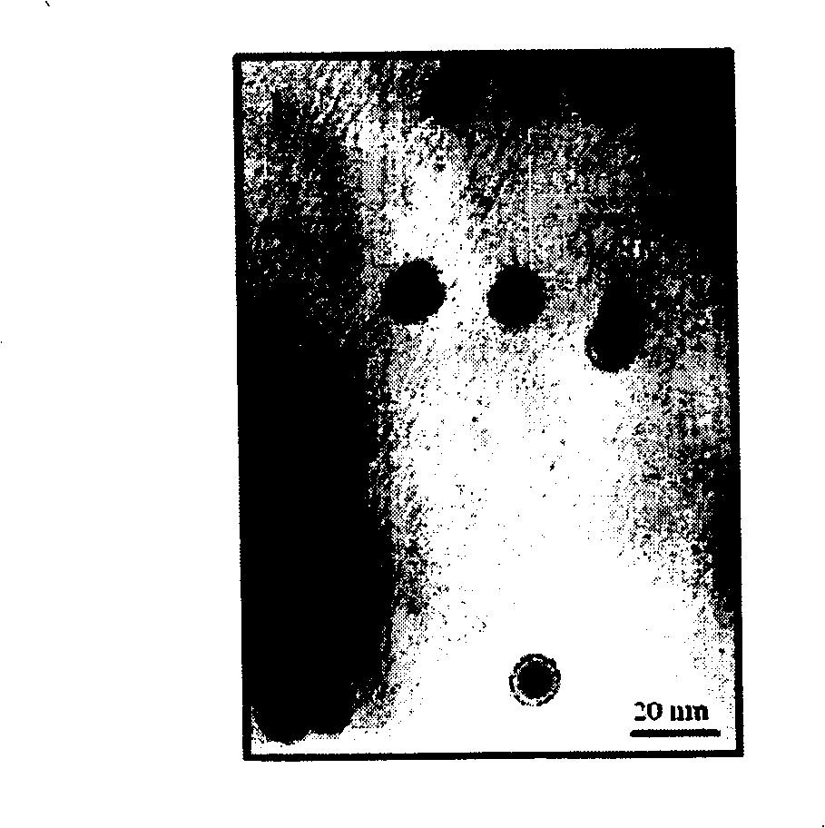 Preparation method of phospholipid functional photoluminous reinforced type nuclear shell structure quantum point