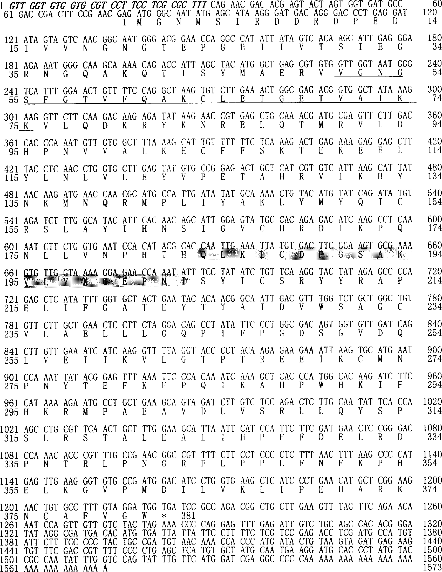 Wheat glycogen synthetase kinase gene