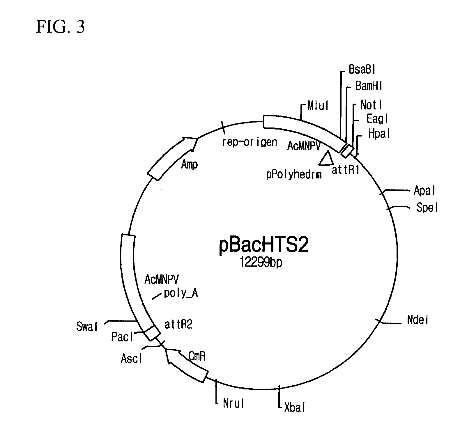 High throughput system for producing recombinant viruses using site-specific recombination