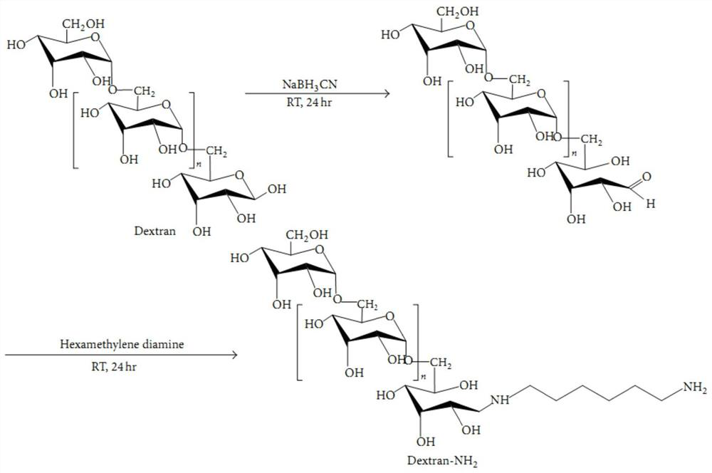 Cystamine derivative based on dextran modification as well as preparation and application of cystamine derivative