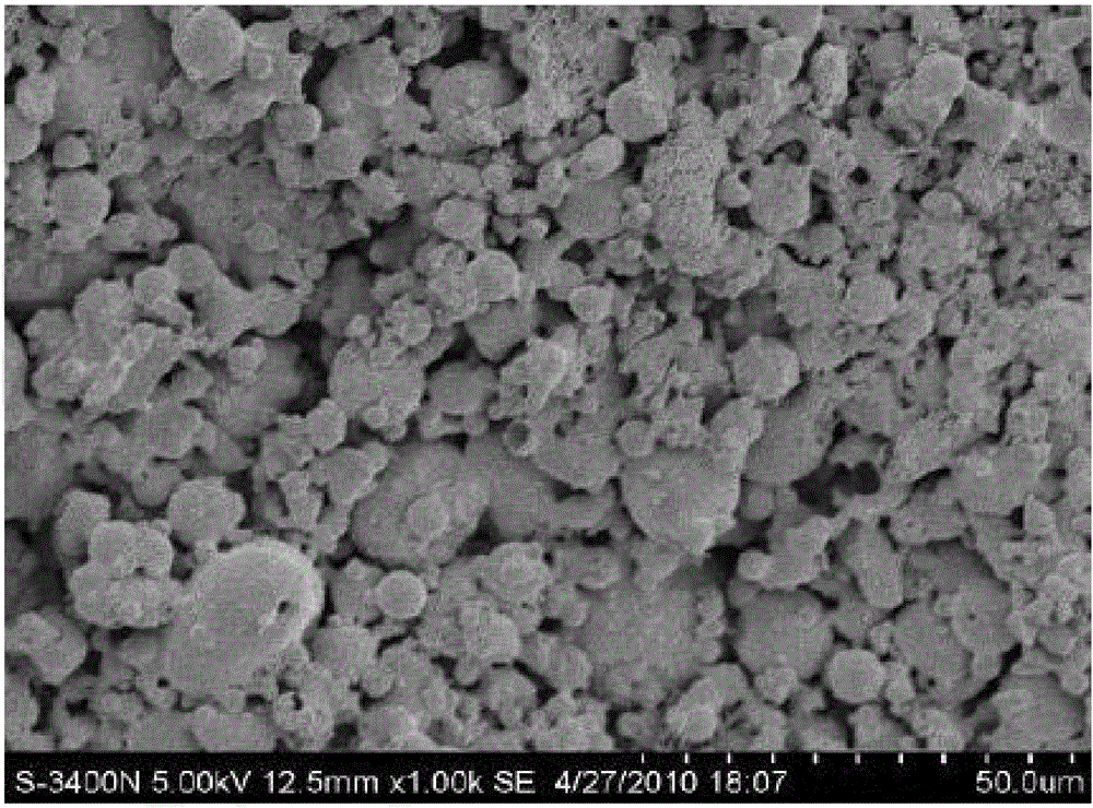 Ceramsite with lipophilic characteristic and preparation method of ceramsite