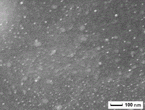 A kind of method for preparing nano-silver-graphene composite film