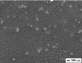 A kind of method for preparing nano-silver-graphene composite film