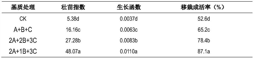 Cultivation medium for promoting root growth of paris polyphylla seedlings and application