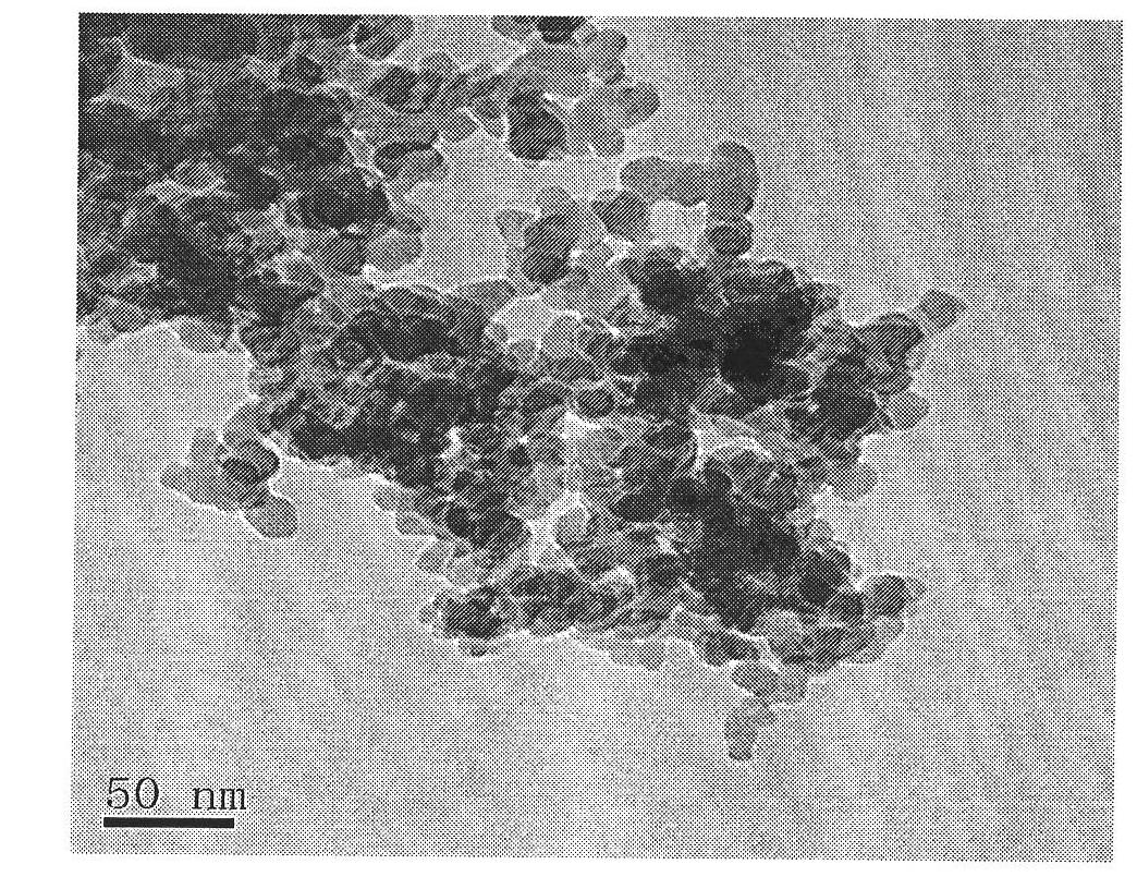 Preparation method of nanometer silicon gel surface gastrodin molecular engram polymers