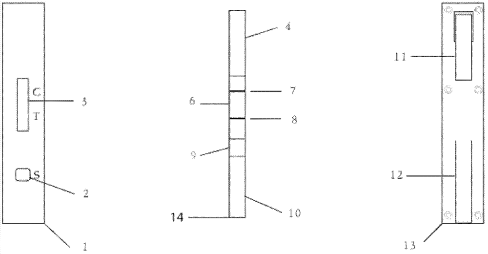 Lateral reciprocating immunochromatography method and diagnosis test strip and device based on lateral reciprocating immunochromatography method
