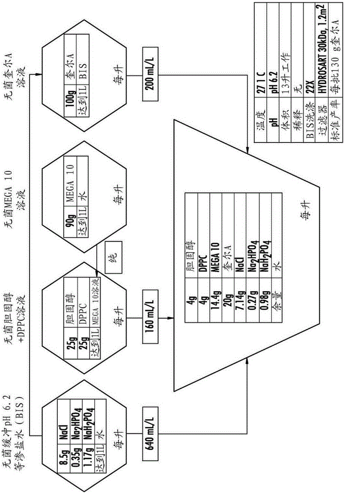 Hendra and nipah virus g glycoprotein immunogenic compositions