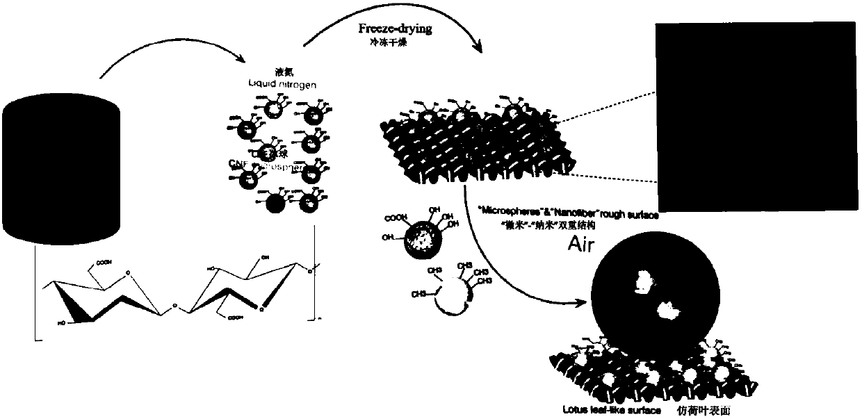 A kind of preparation method of nanocellulose airgel microsphere coated filter paper