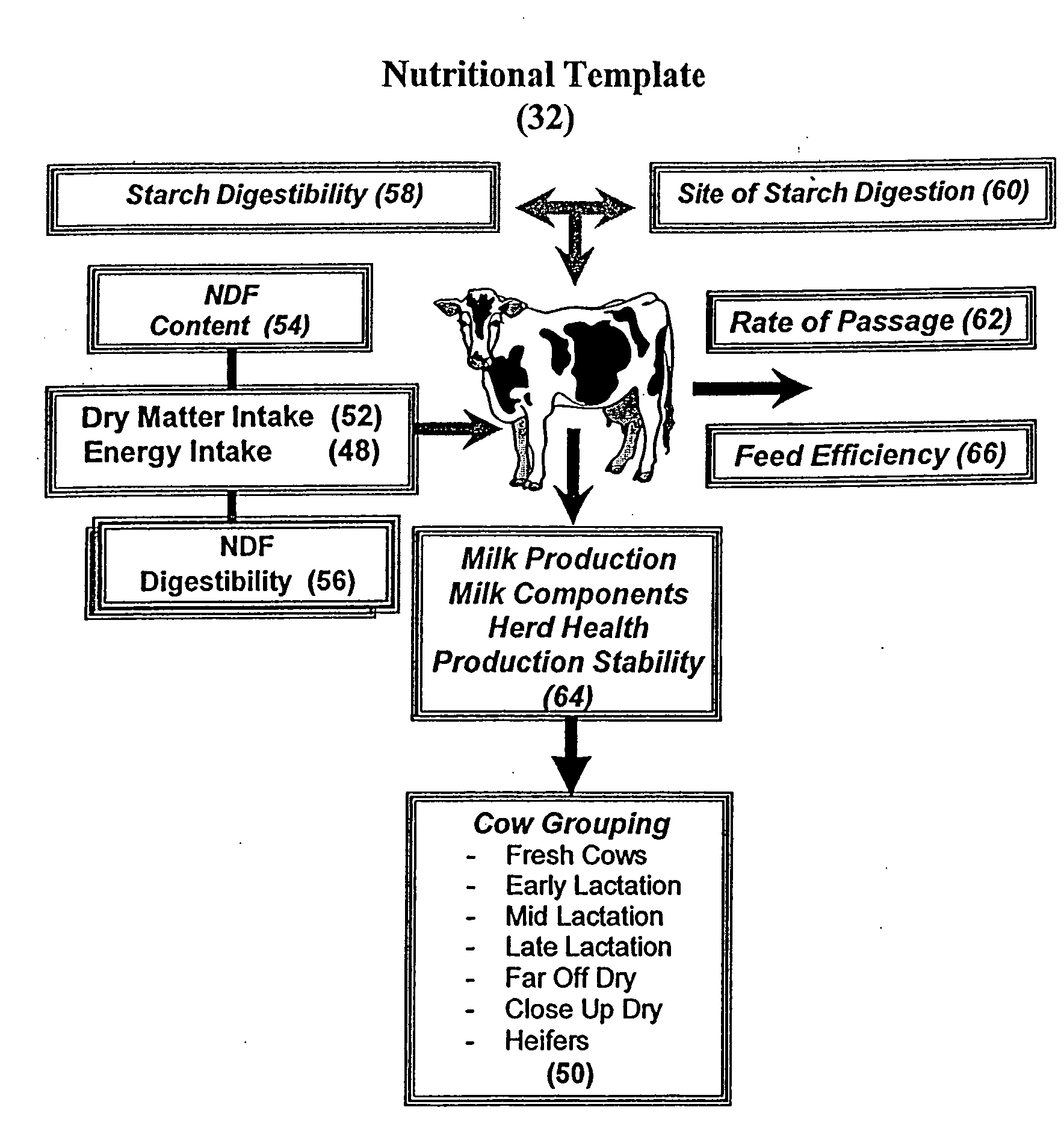 Feed delivery system for enhancing ruminant animal nutrition