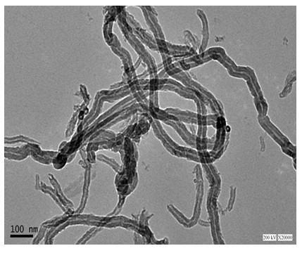 Preparation method of polyaniline/carbon nano tube compound electromagnetic shielding material