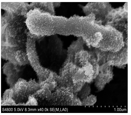 Preparation method of polyaniline/carbon nano tube compound electromagnetic shielding material