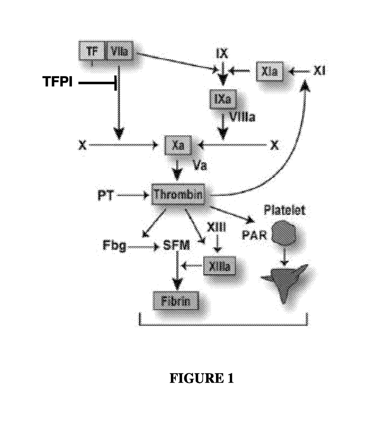 Tfpi inhibitors and methods of use