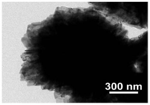 Zinc oxide/carbon quantum dot composite photocatalyst, preparation method and application thereof