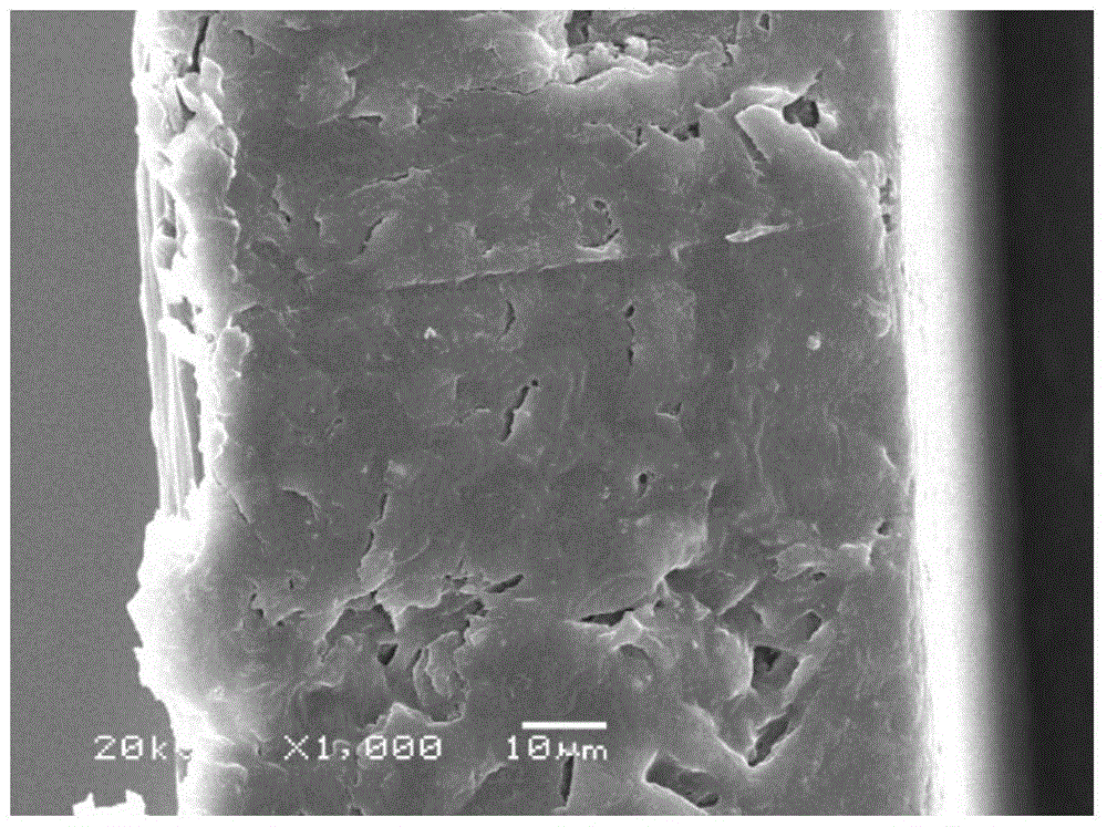 A kind of solid polymer electrolyte porous membrane membrane liquid and membrane-making method thereof