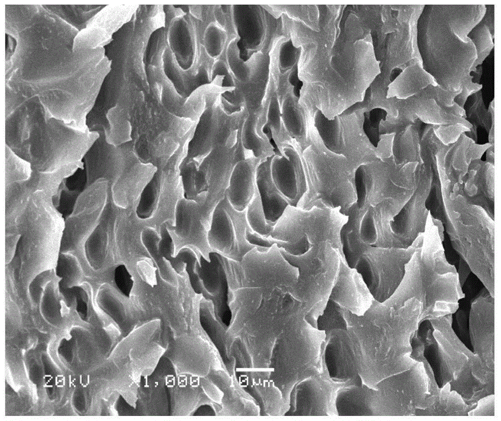 A kind of solid polymer electrolyte porous membrane membrane liquid and membrane-making method thereof