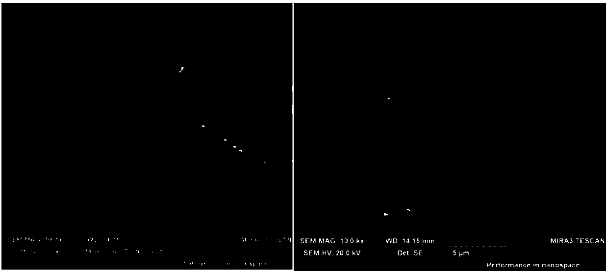 Metal manganese chromium-free passivator and preparation method and application thereof