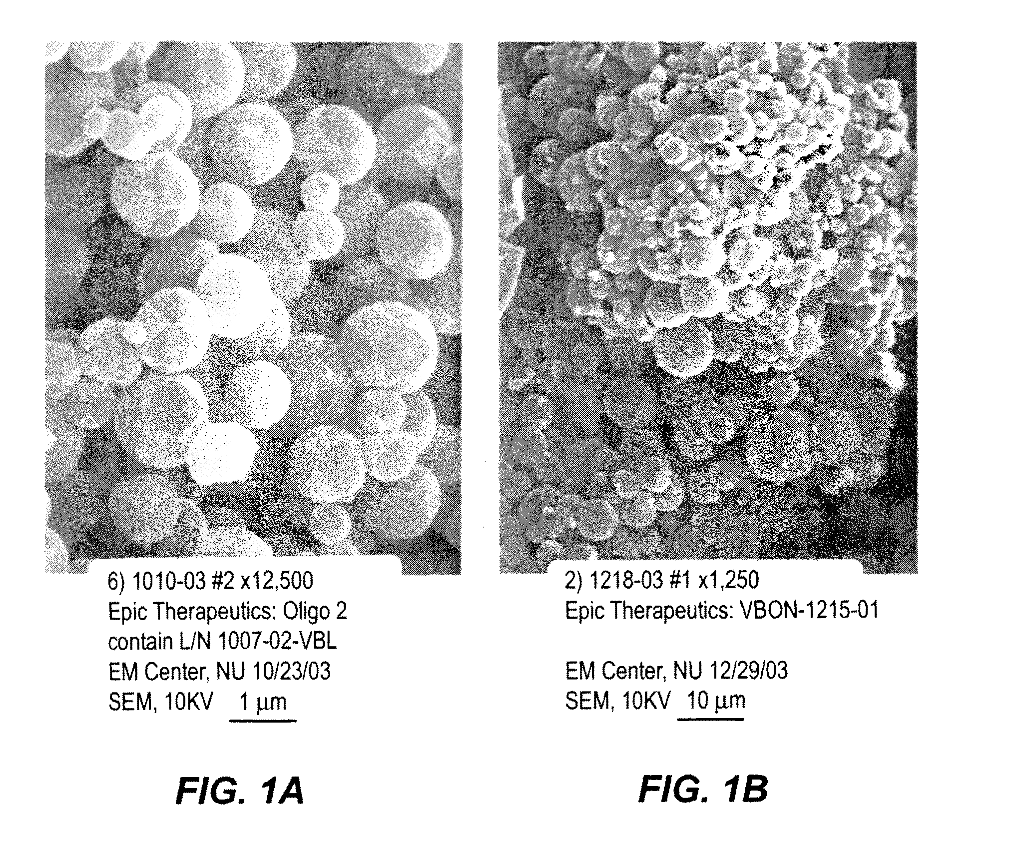 Microsphere-based composition for preventing and/or reversing new-onset autoimmune diabetes