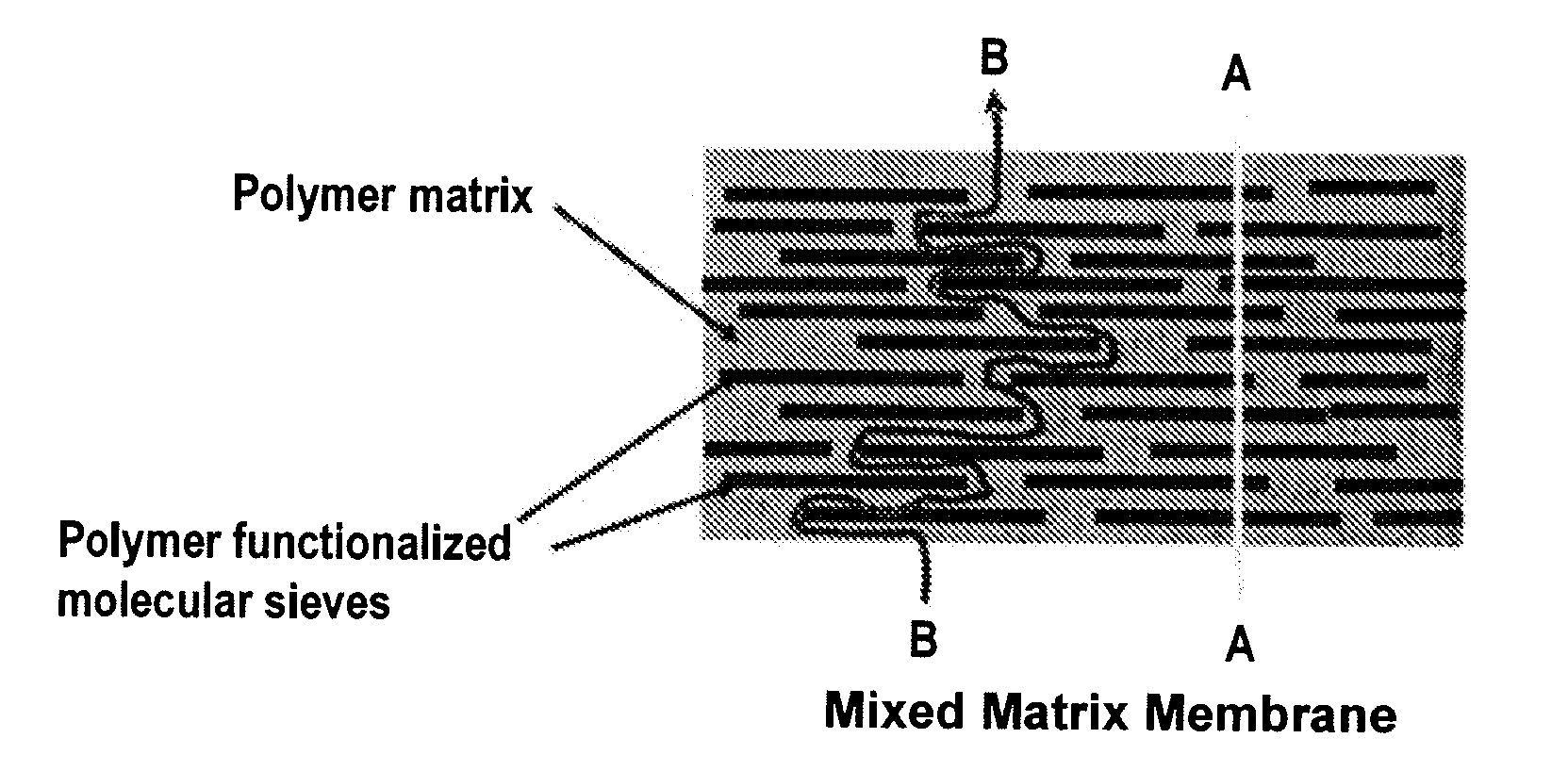 Method of Making Polymer Functionalized Molecular Sieve/Polymer Mixed Matrix Membranes