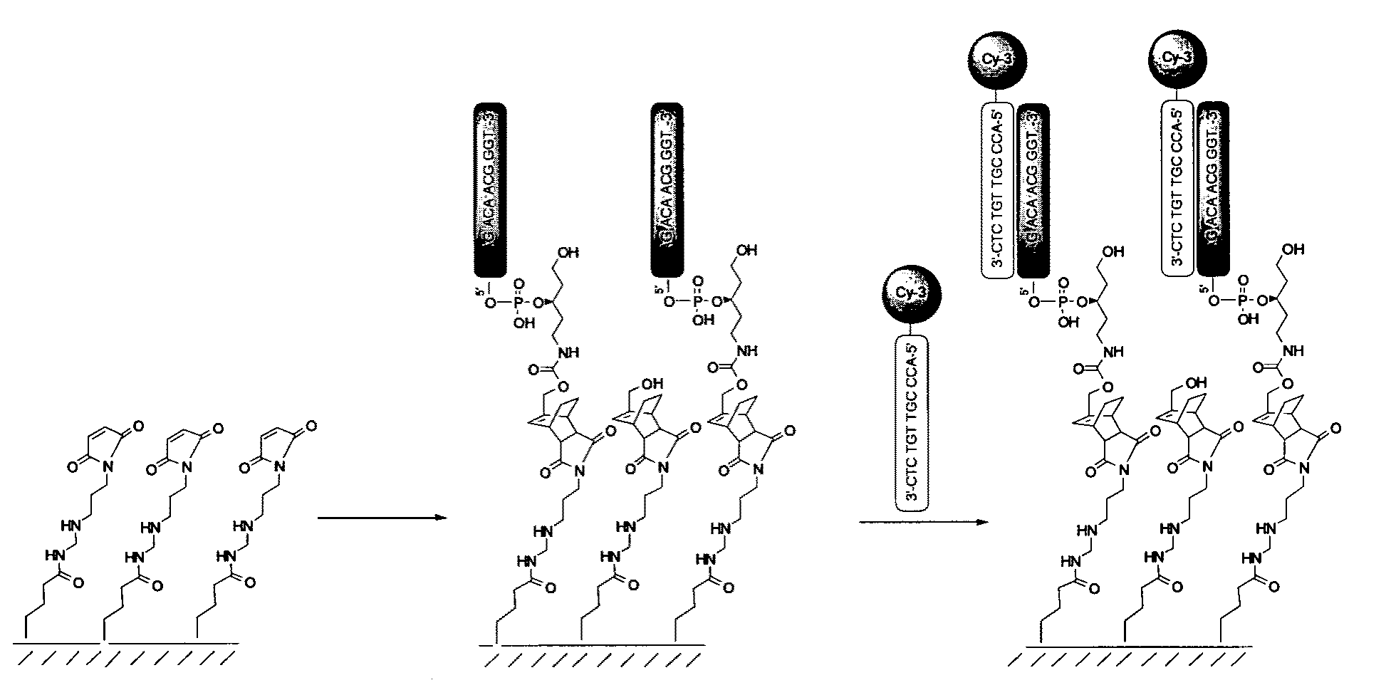 Oligonucleotide arrays