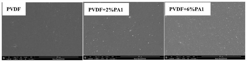 Nylon 1/polyvinylidene fluoride composite dielectric film and preparation method thereof