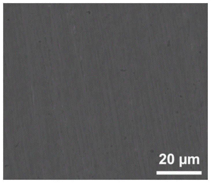 Nickel-titanium alloy containing bioactive coating and its preparation method and application