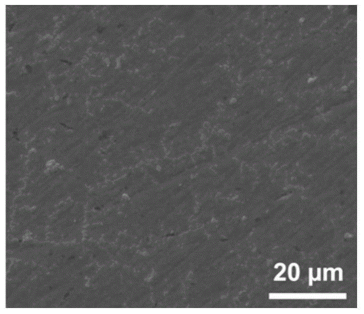 Nickel-titanium alloy containing bioactive coating and its preparation method and application